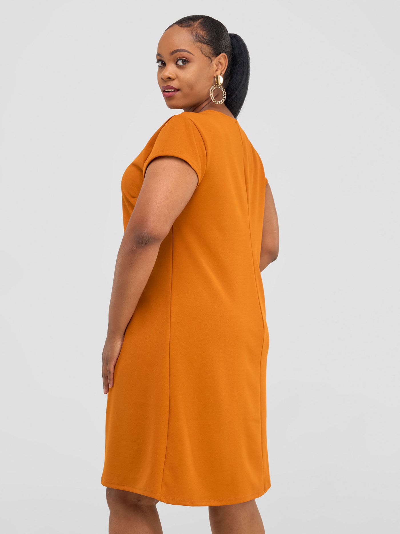 Vivo Imara Cap Sleeve A-Line Dress - Rust