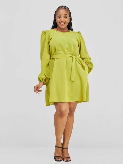 Lizola Chiazokam Shift Dress - Green - Shopzetu