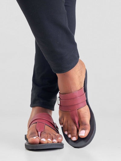 Biba Trends Collections Abeeba Buckle Sandals - Maroon / Black - Shopzetu