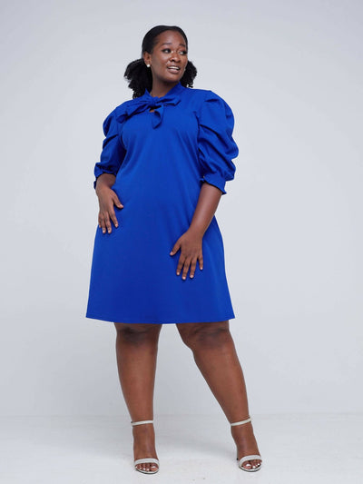 Salok Havilah Waridi Shift Dress - Blue - Shopzetu