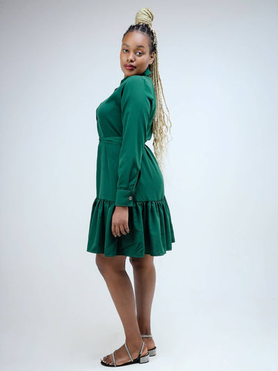 Phyls Collections Sheila Shirt Knee Length Dress - Green - Shopzetu